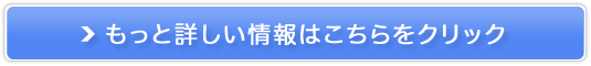 _CGbgNo.1̐`uXC[c`v̔TCg